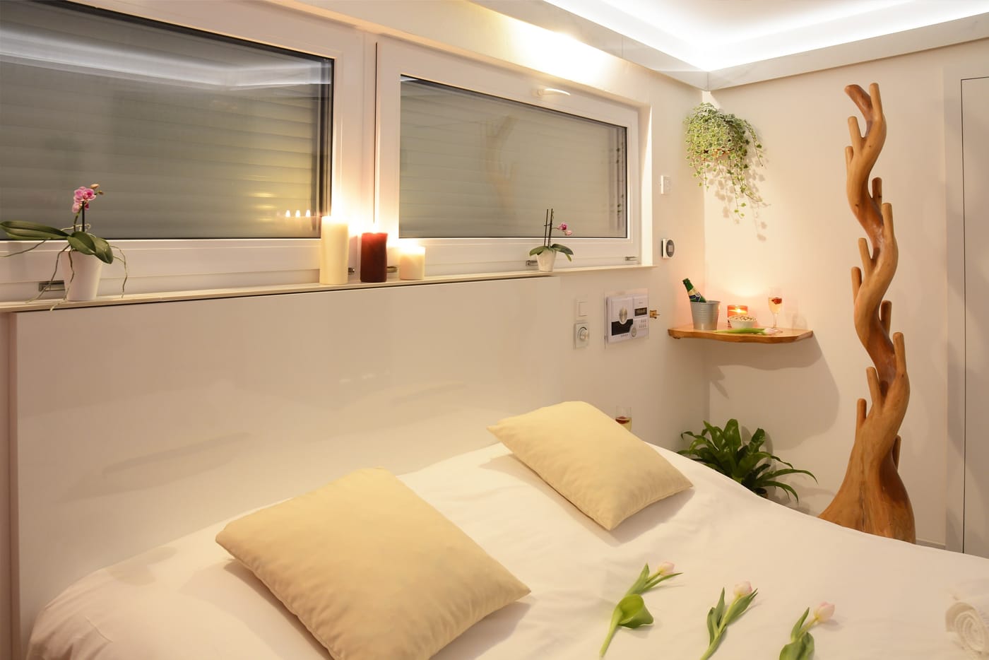 Privátní Wellness Vila Bohemia Praha – fotka 6