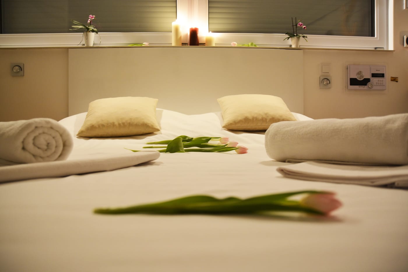 Privátní Wellness Vila Bohemia Praha – fotka 7