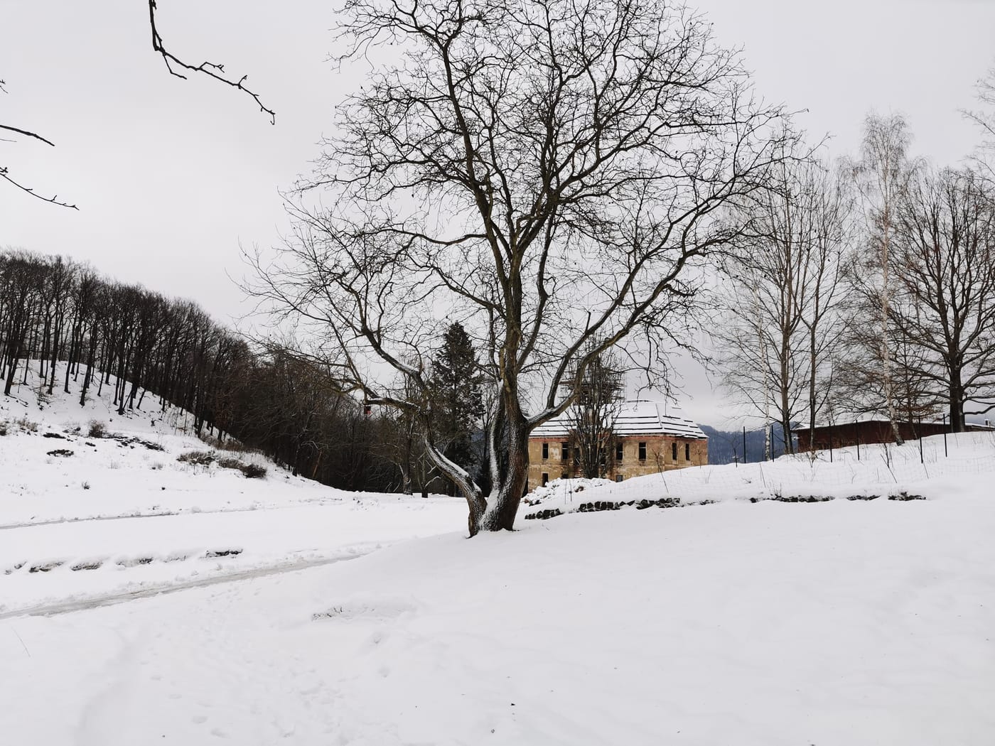 Glamping Skrytin (Dobkovice) – fotka 2