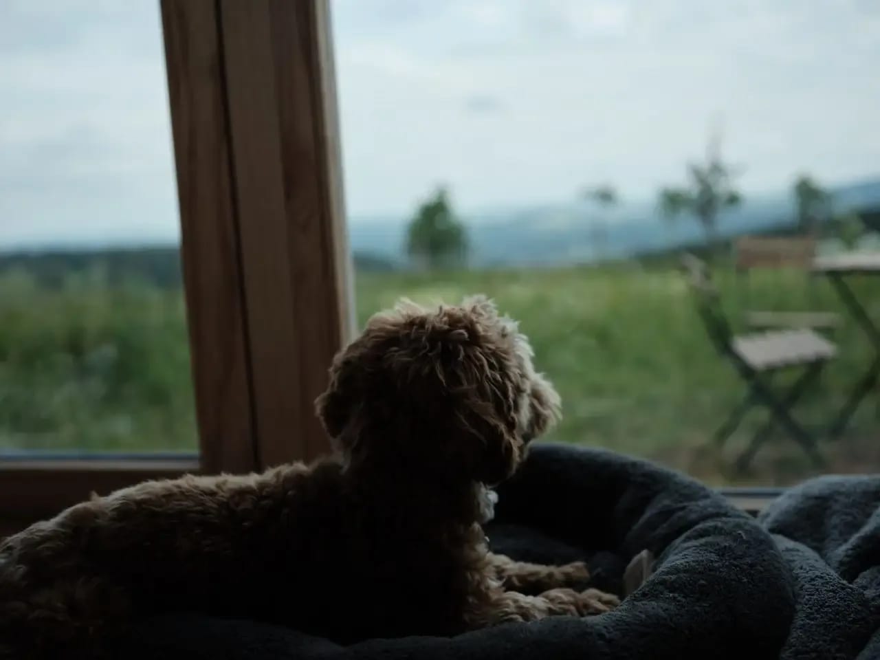 Glamping Na Malém Háji (Krušné hory): Západ slunce z glamping ubytování Na Malém Háji