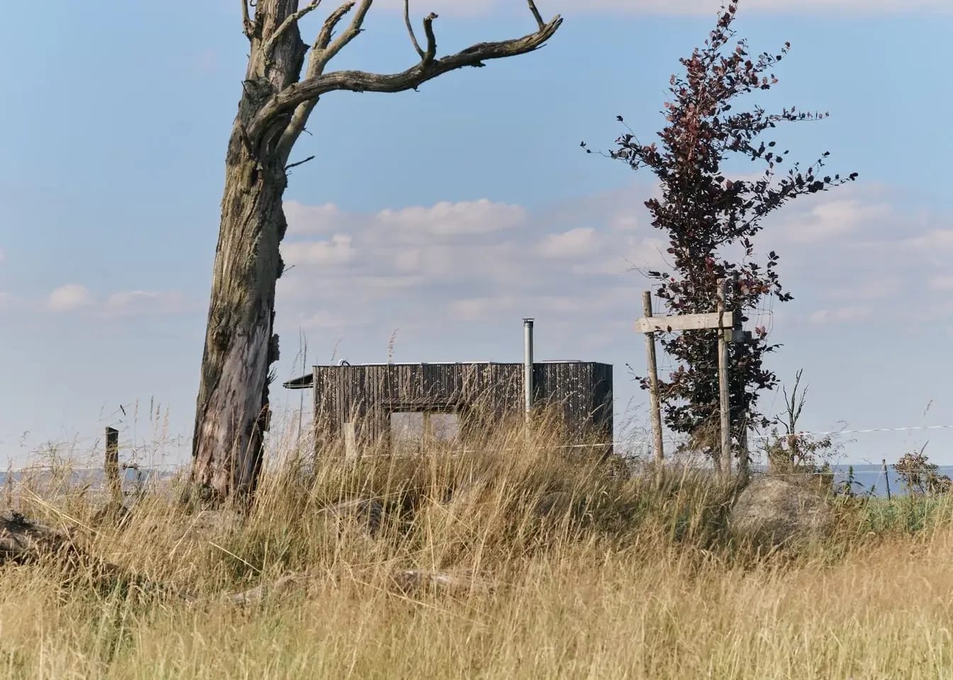 Glamping Na Malém Háji (Krušné hory): Louka a příroda kolem glamping ubytování Na Malém Háji