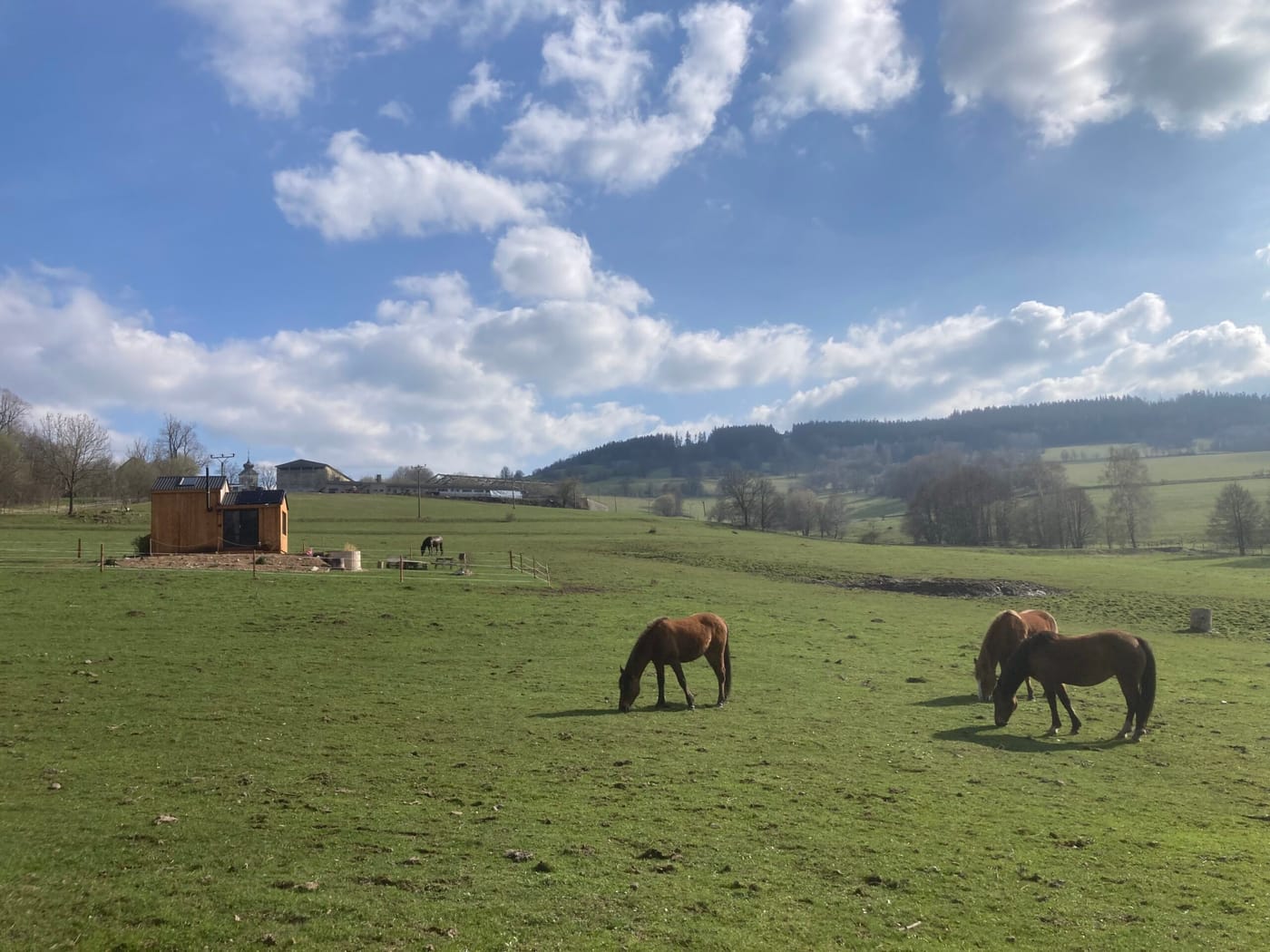 Glamping Morava (Podlesí u Hanušovic) – fotka 3