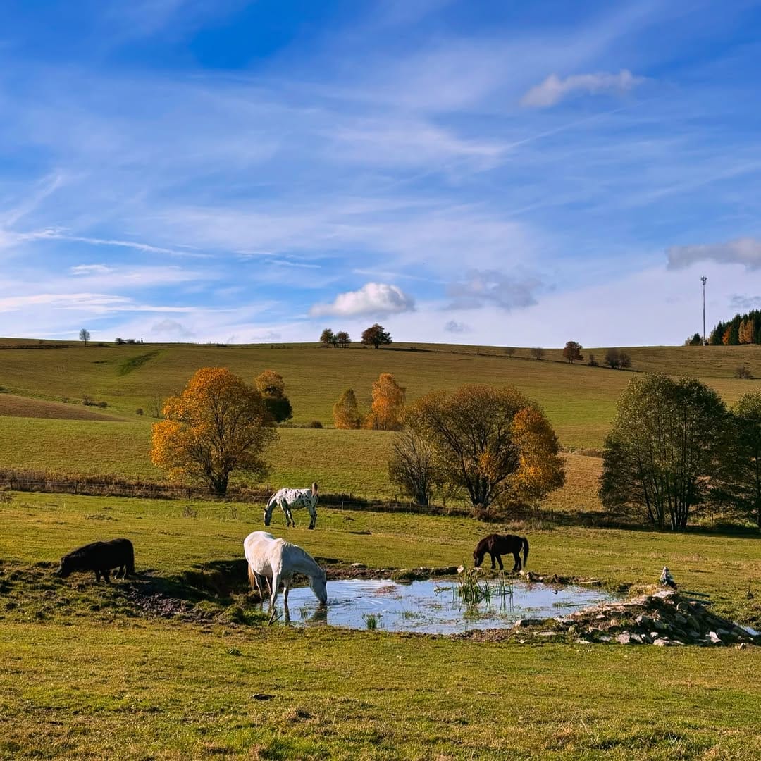 Glamping Morava (Podlesí u Hanušovic) – fotka 7