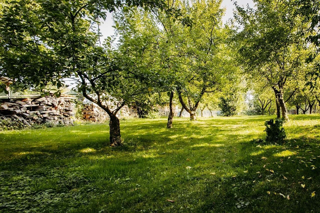 Statek Vilémov – wellness s bazénem a vířivkou – fotka 7