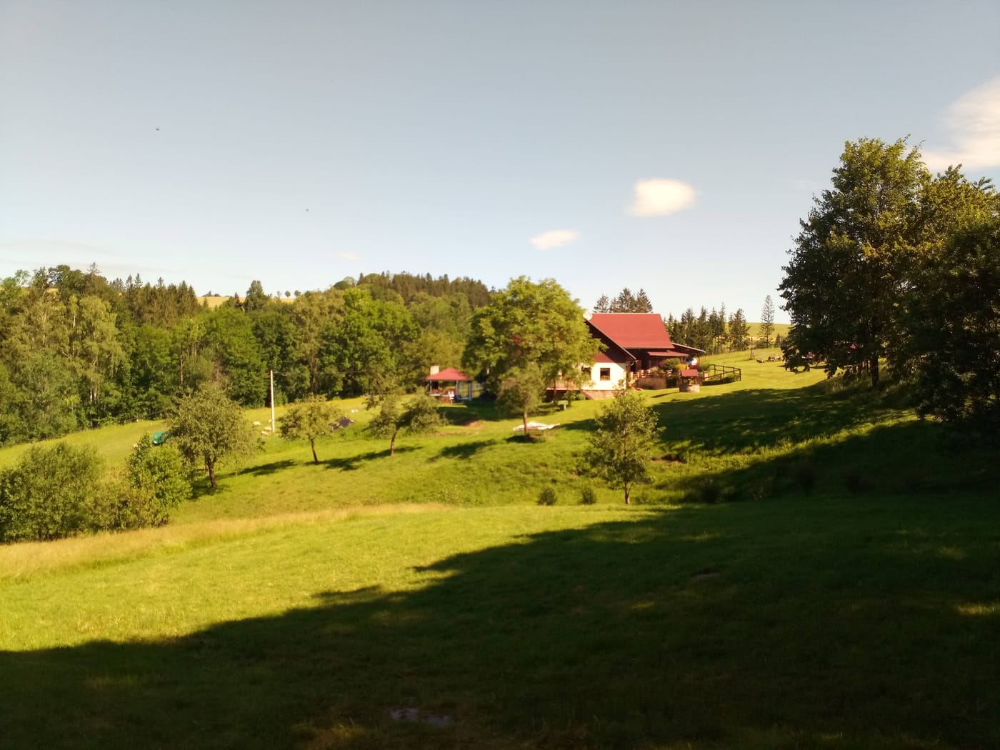 Na samotě u lesa (České Petrovice) – fotka 2