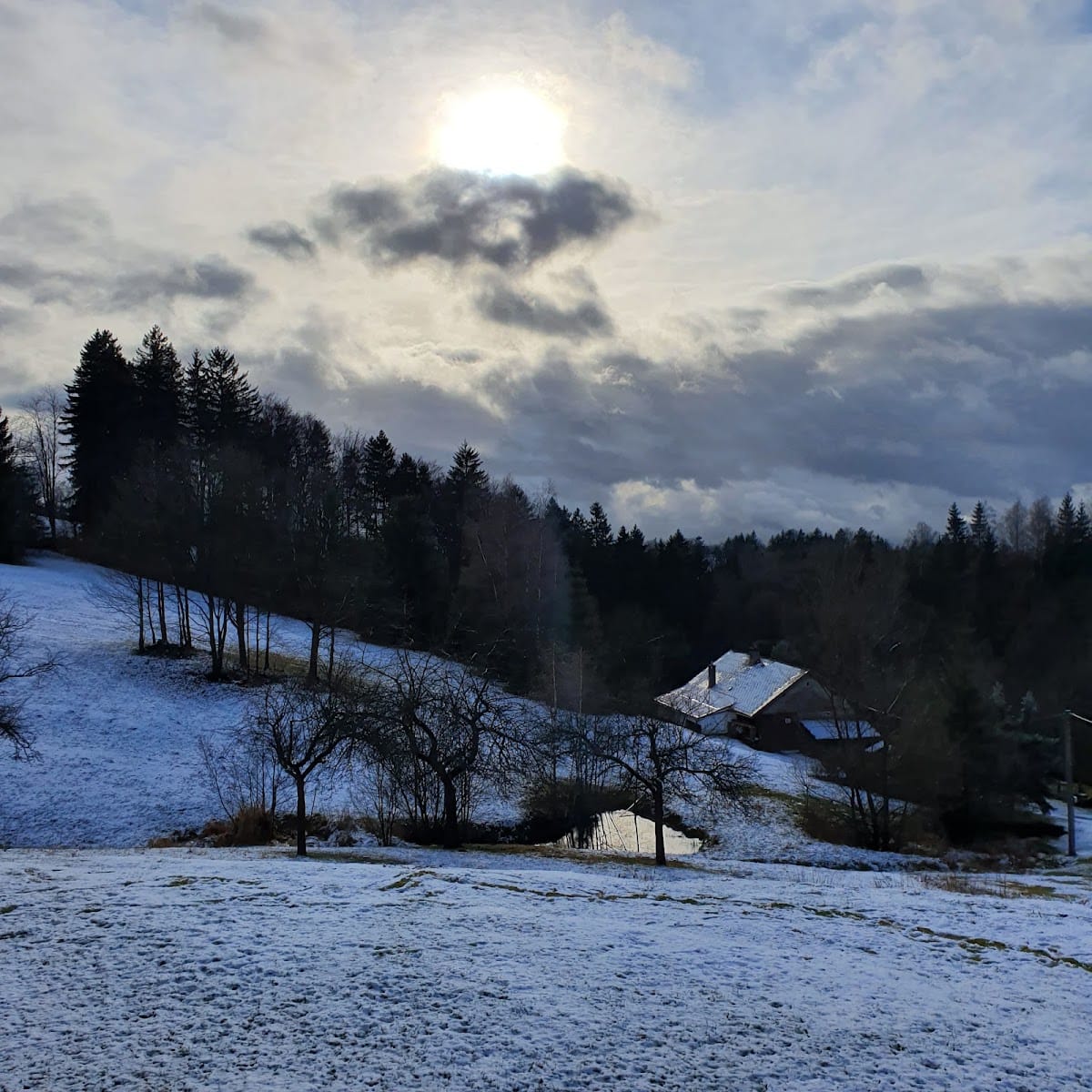 Na samotě u lesa (České Petrovice) – fotka 6