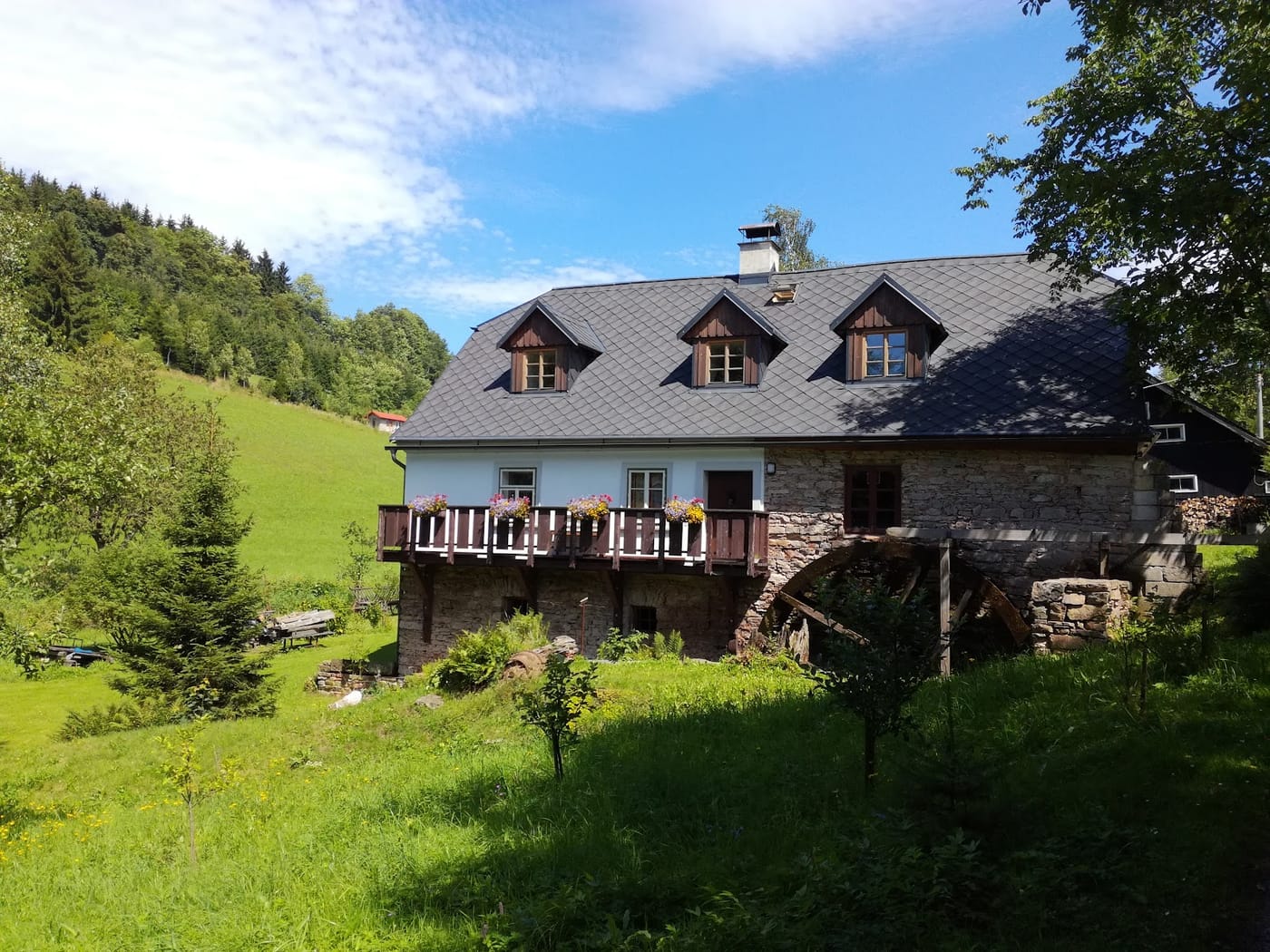 Na samotě u lesa (České Petrovice) – fotka 8