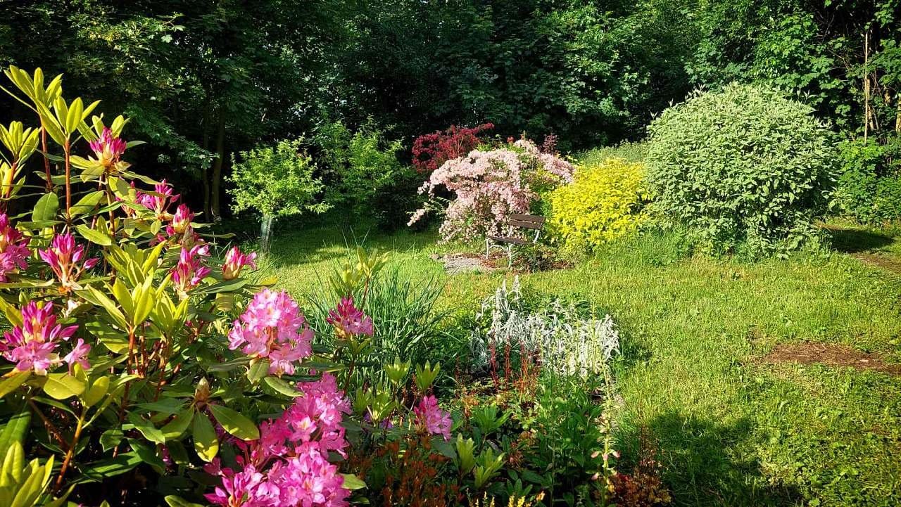 Na samotě V Louce (Osečnice) – fotka 5